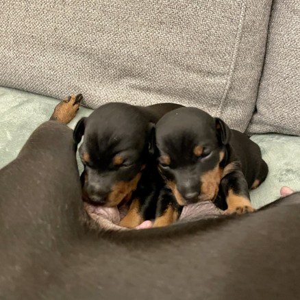 Vi hänger med mamma i vardagsrummet
